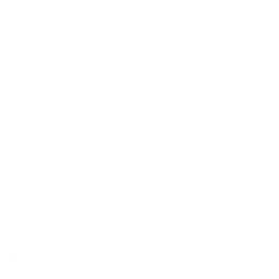 Whatsapp Icon